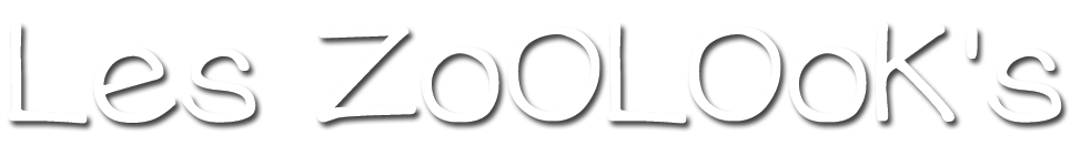 logo-zoolooks-blanc