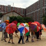 cannes-a-pluie-zoolooks-ivryimg_1700